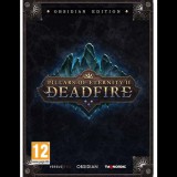Obsidian Entertainment Pillars of Eternity II: Deadfire Obsidian Edition (PC - Steam elektronikus játék licensz)