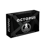 Octopus - 4 db