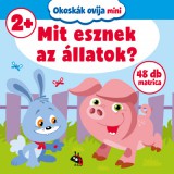 Okoskák ovija mini - Mit esznek az állatok?