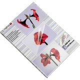 Olympia Lamináló fólia DIN A4 125 mikron 100 db (9176)