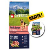 ONTARIO Adult Large Beef & Rice 12 kg + 2,25 kg GRÁTISZ