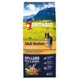 ONTARIO Adult Medium Lamb & Rice 12kg