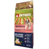 ONTARIO Puppy & Junior Large - chicken & potatoes 12kg