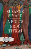 Open Books Simard Suzanne: A bölcs erdő titkai - Az anyafa felfedezése - könyv