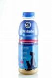 Oralade GI Support kutyáknak és macskáknak 500ml