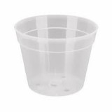 Orchidea cserép 20 cm-es