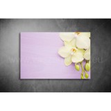 Orchidea Vászonkép 028 vi-028