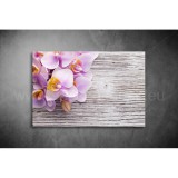 Orchidea Vászonkép 029 vi-029