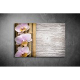 Orchidea Vászonkép 030 vi-030