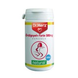 Ördögnyelv forte 500 mg. -Dr.Herz-