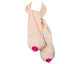 Orion Cicis sál (natúr)