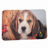 Őszi Beagle gumi lábtörlő, 60 x 40 cm
