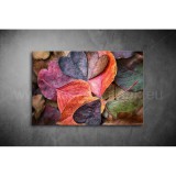 Őszi Levél Vászonkép 002 tm-002