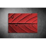 Őszi levél Vászonkép 031 vi-031