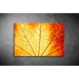 Őszi levél Vászonkép 032 vi-032