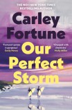 Our Perfect Storm - Paperback