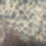 Ourselves, As We Are - CD