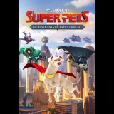 Outright Games LTD. DC League of Super-Pets: The Adventures of Krypto and Ace (PC - Steam elektronikus játék licensz)