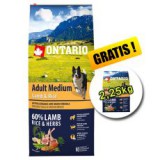 ONTARIO Adult Medium Lamb & Rice 12kg + 2,25kg GRATIS