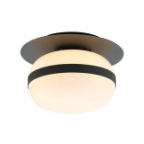 PALMA mennyezeti lámpa fekete 40W