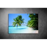 Pálmák Vászonkép 067 sea-067