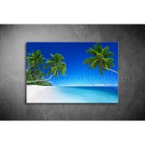 Pálmák Vászonkép 072 sea-072