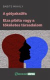 Pályázatfigyelés Kft Babits Mihály: A gólyakalifa; Elza pilóta - könyv
