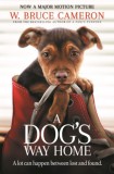 Pan Books W. Bruce Cameron: A Dog's Way Home - könyv