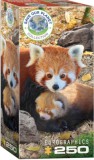 Pandák, 250 db-os puzzle (EUROGRAPHICS,8251-5557)