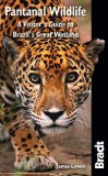 Pantanal Wildlife (A Visitor's Guide to Brazil's Great Wetland) - Bradt