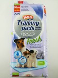 PanziPet Fresh Kutyapelenka 40x60cm 2x50db Gazdaságos Csomag Helyhez szoktató kölyök és idős kutyáknak