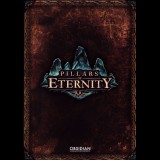 Paradox Interactive Pillars of Eternity (PC - Steam elektronikus játék licensz)