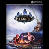 Paradox Interactive Pillars of Eternity: The White March Part I (PC - Steam elektronikus játék licensz)