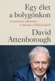 Park Kiadó David Attenborough: Egy élet a bolygónkon - kartonált - könyv