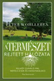 Park Kiadó Peter Wohlleben: A természet rejtett hálózata - Felhőt csináló fák, ibolyák és hangyakalács - könyv