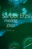 Park Kiadó Sándor Erzsi: Meddig jössz - könyv