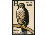 Park Könyvkiadó Kft Helen Macdonald - H, mint héja