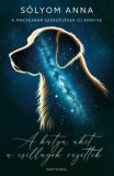 Partvonal Kiadó Sólyom Anna: A kutya, akit a csillagok vezettek - könyv