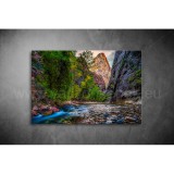 Patak Vászonkép 005 tm-005