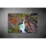 Patak Vászonkép 008 tm-008