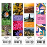 PÁTRIA DESIGN PD 2026 5x21 cm könyvjelző naptár