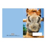 Pátria Nyomda Füzetborító pd A5 bámu-ló