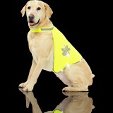 PAWISE KUTYA LÁTHATÓSÁGI MELLÉNY 3 méretben