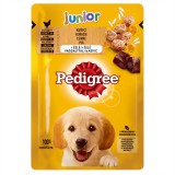 Pedigree Junior alutasakos eledel csirkehússal és rizzsel 100 g