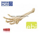 Penn Plax Deco Samu Dekorációs Csontváz Kéz Akváriumba 27Cm (234-422120)