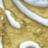 Pentart antikoló paszta 20 ml antikarany