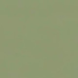 Pentart matt akrilfesték 50 ml tövis