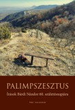 Pesti Kalligram Kft. Magyar Bálint, Madlovics Bálint: Palimpszesztus - könyv
