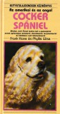 Pesti Szalon Cocker spániel