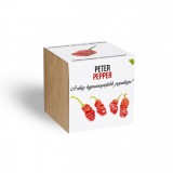 Peter Pepper chili paprika növényem fa kockában, Peter Pepper chili paprika növényem fa kockában